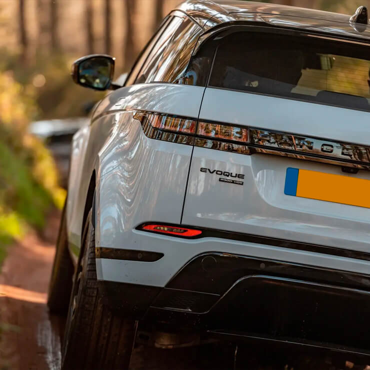 Danson Motors